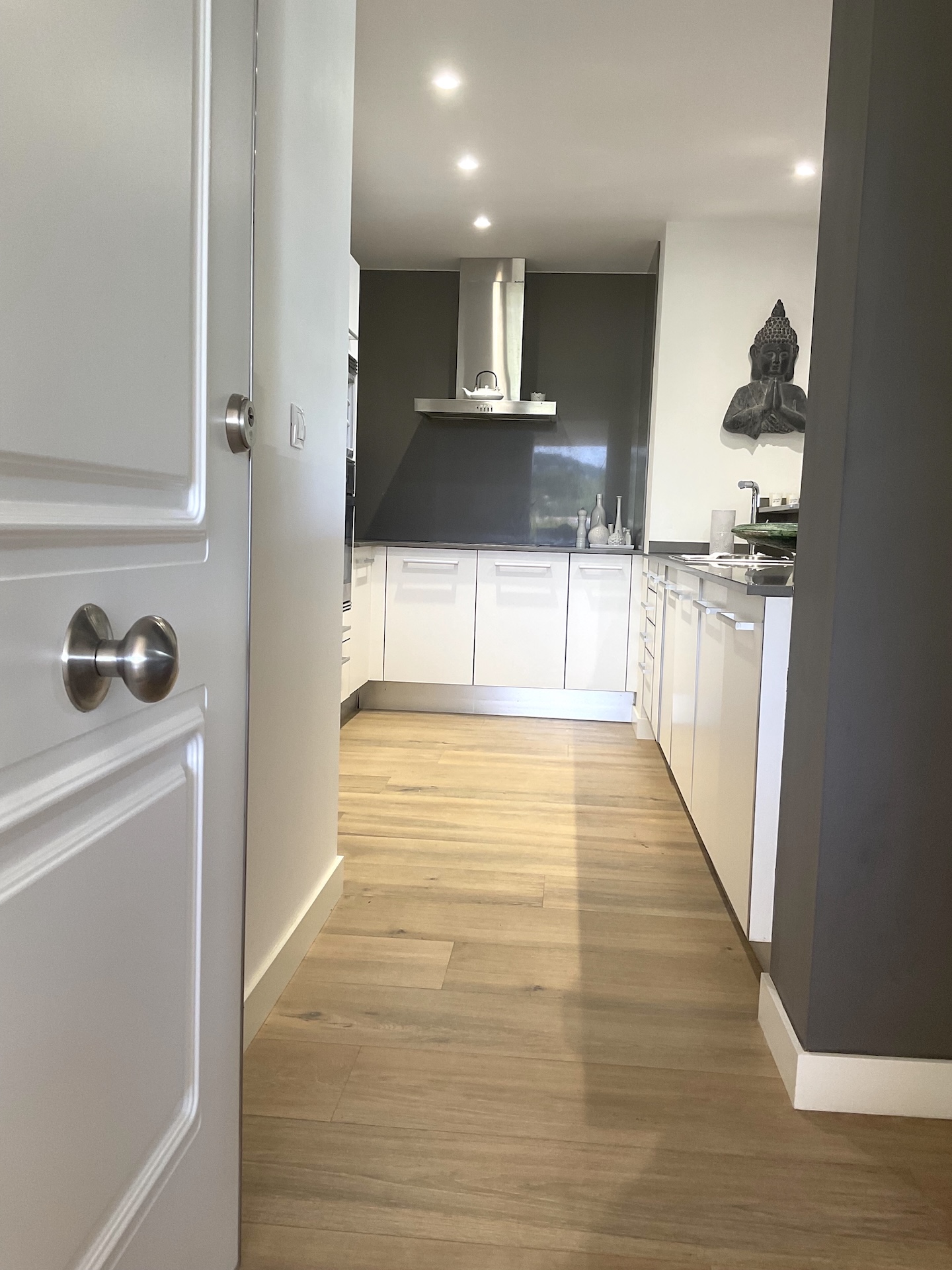 Resa estates Ibiza for sale te koop las terrasses apartment 1cala tarida 2.jpeg